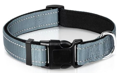 Reflektierendes Halsband