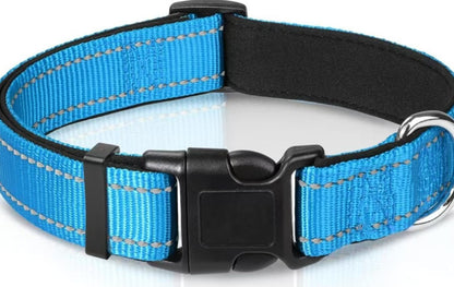 Reflektierendes Halsband