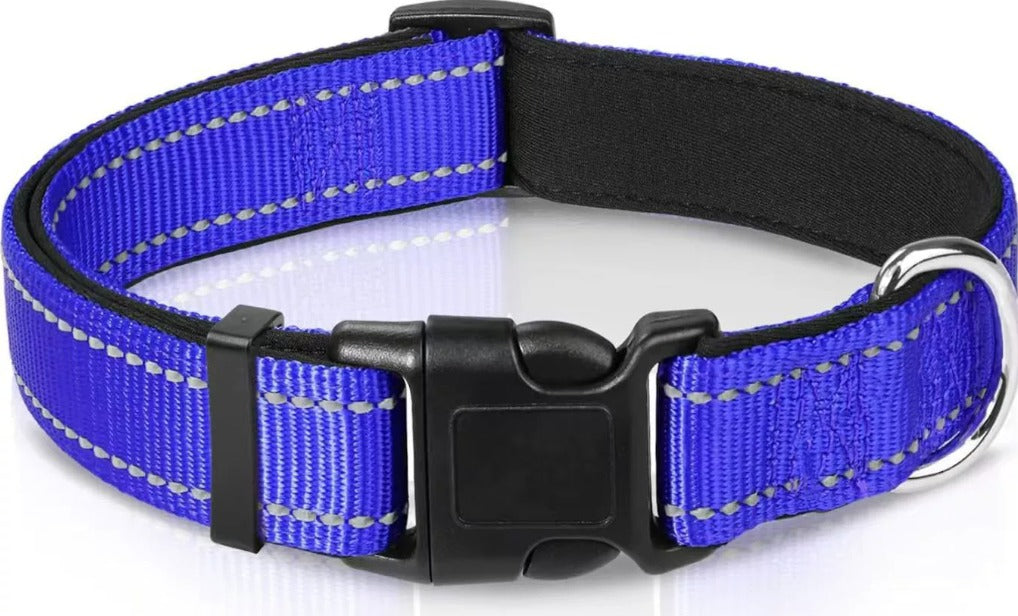 Reflektierendes Halsband
