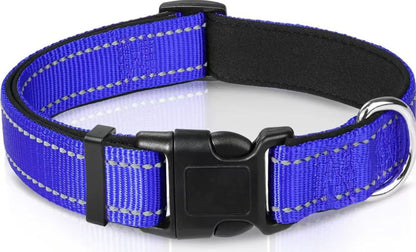 Reflektierendes Halsband