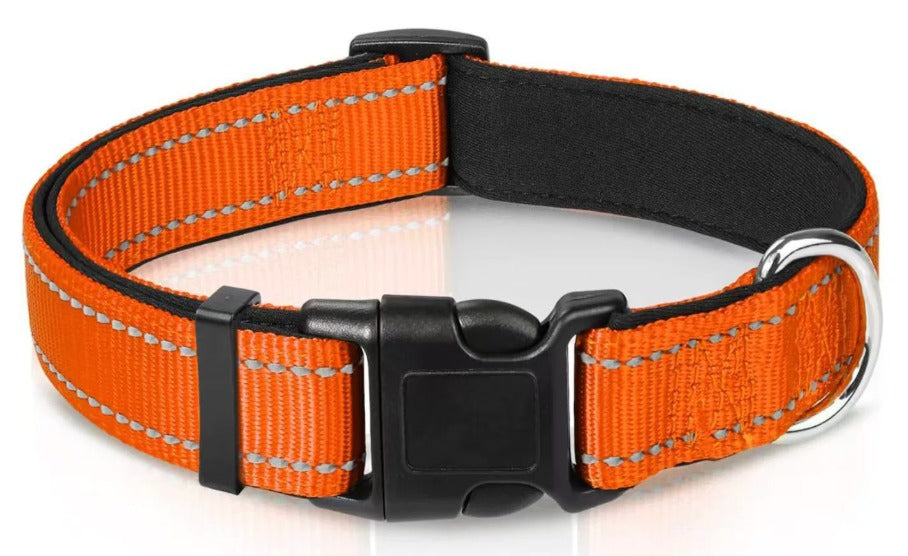 Reflektierendes Halsband