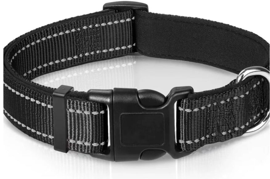 Reflektierendes Halsband