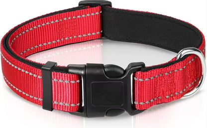 Reflektierendes Halsband