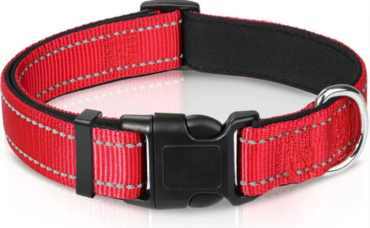 Reflektierendes Halsband