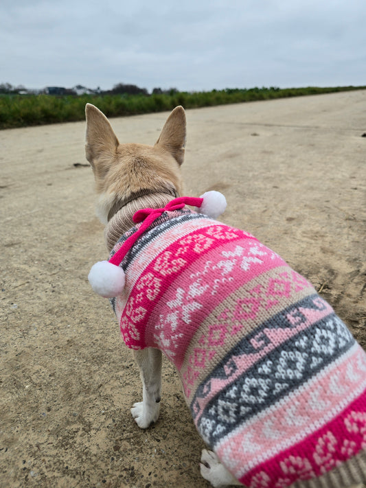 Hundepullover im Winterdesign ❄️