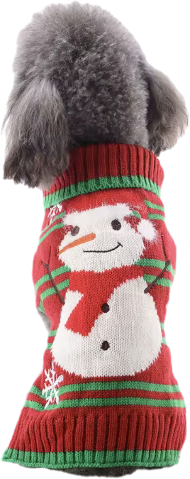 Hundepullover im Winterdesign ❄️