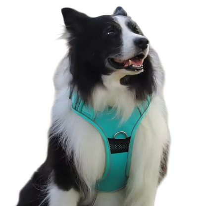 Anti-Zieh-Hundegeschirr