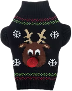 Hundepullover im Winterdesign ❄️